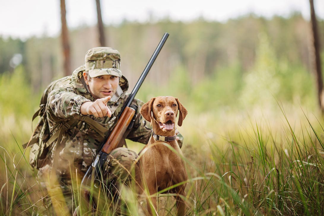 preparazione cani da caccia