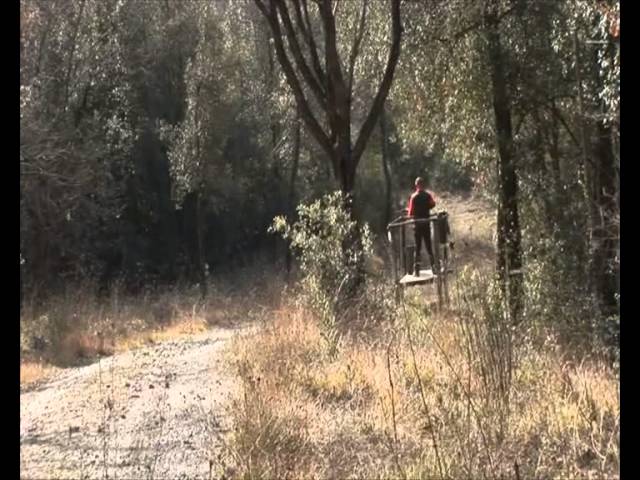 Caccia al cinghiale nell’azienda faunistico venatoria “Guado al Sole”