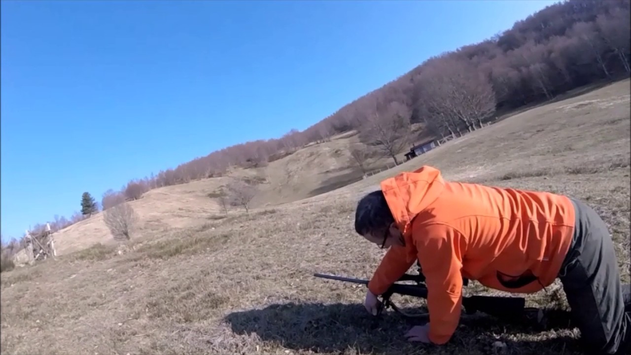 Toscana, caccia di selezione al cervo dell’Acquifreddula