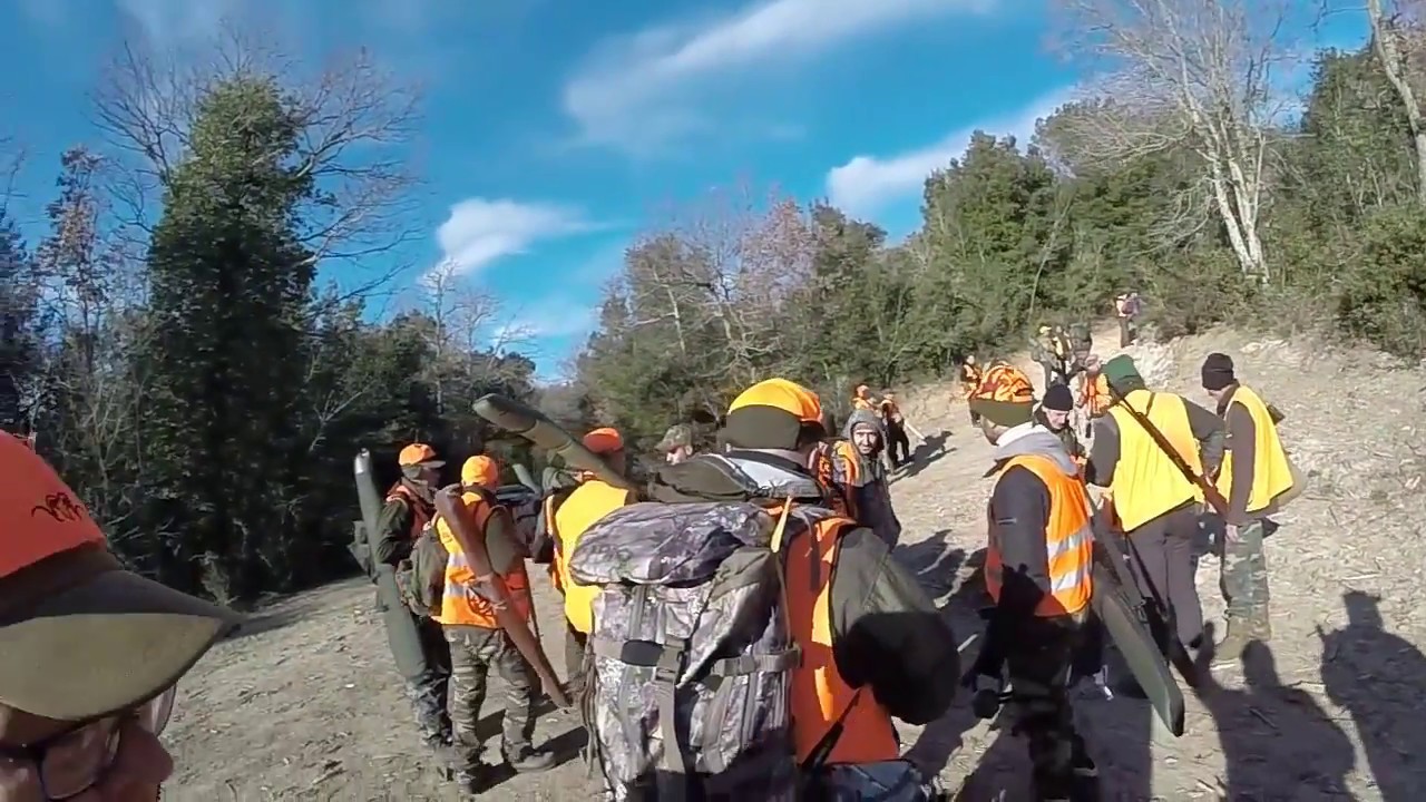 Maremma, caccia al cinghiale nella Tenuta Marsiliana 2017