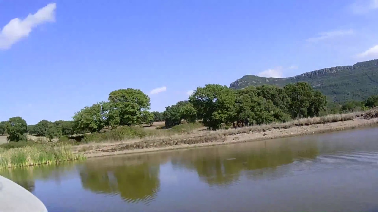Sardegna, caccia al colombaccio e alle anatre 2017