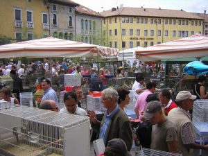 Fiera primaverile degli uccelli