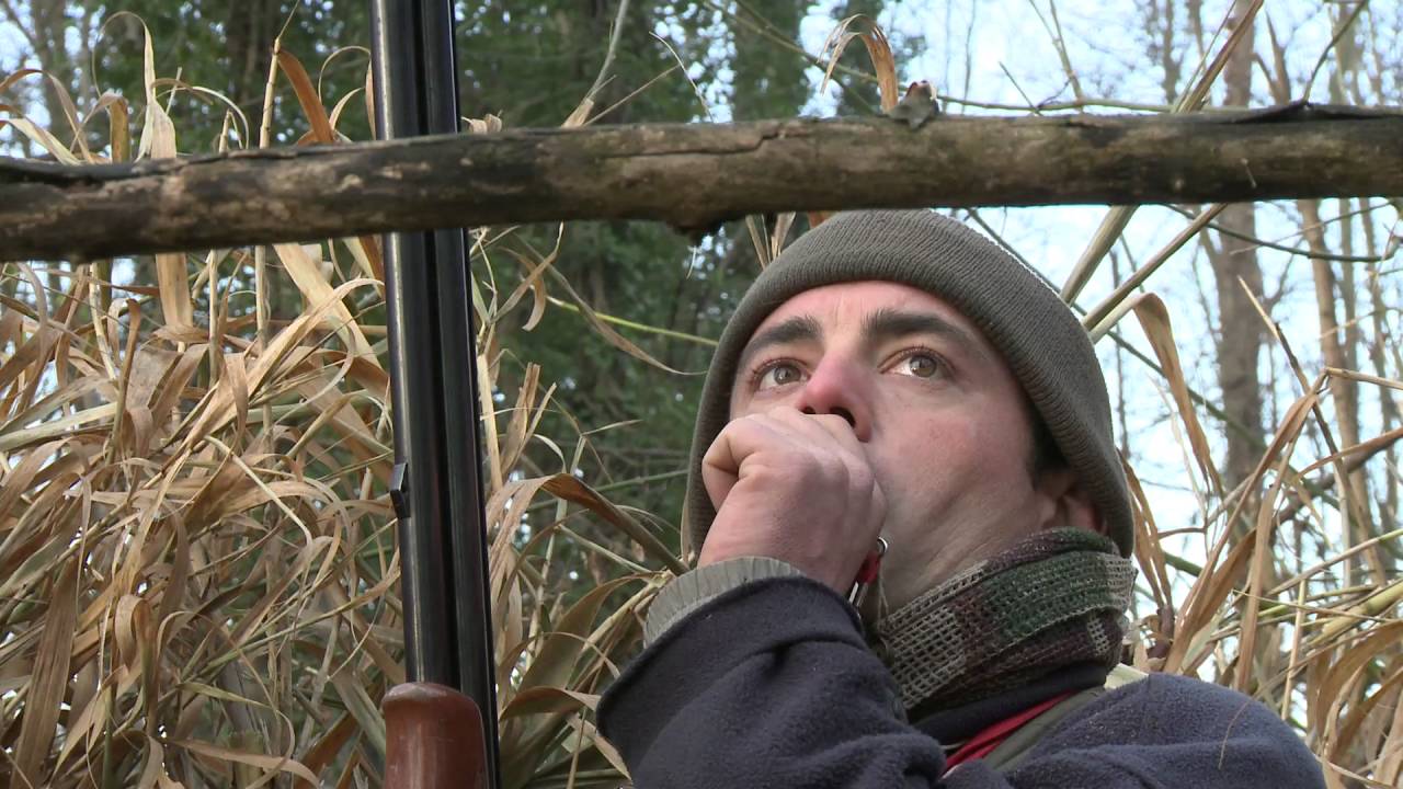 Caccia al tordo in Francia