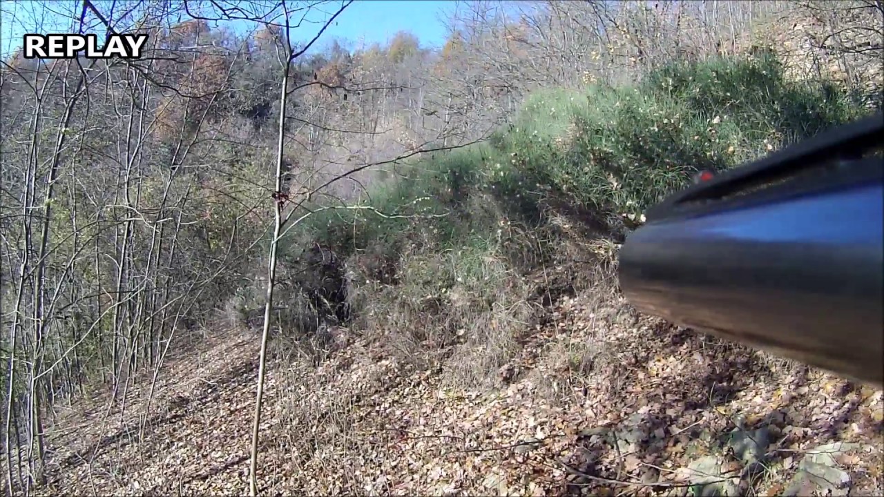 Caccia al cinghiale nel bosco. Tra rovi e ginestre..