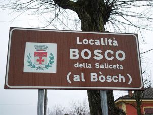 Bosco della Saliceta