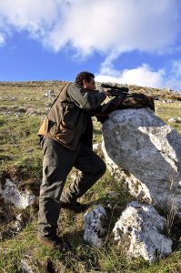 Caccia al cinghiale nel Pollino