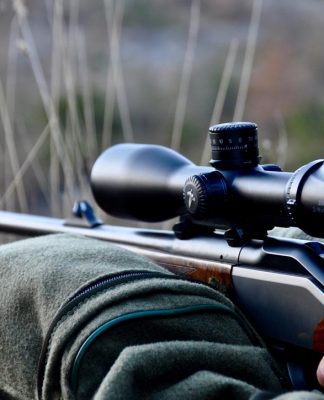 Caccia al capriolo. “Cuore di mamma”