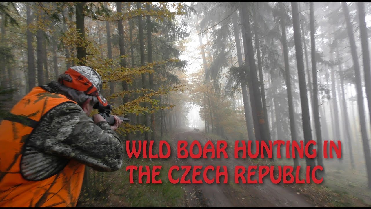 Caccia al cinghiale in Repubblica Ceca