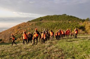 Cacciatori toscani