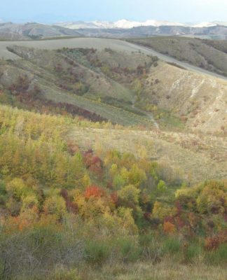 Caccia di fine anno: La beccaccia del sole