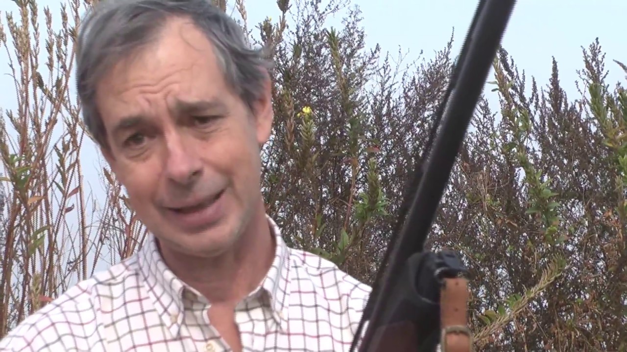 Semiautomatico Beretta A400 Ultralite in calibro 12