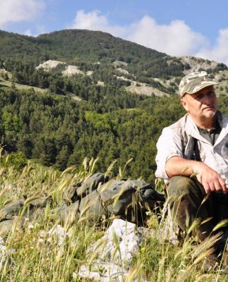 Caccia al cinghiale: “i cinghiali del Pollino”..