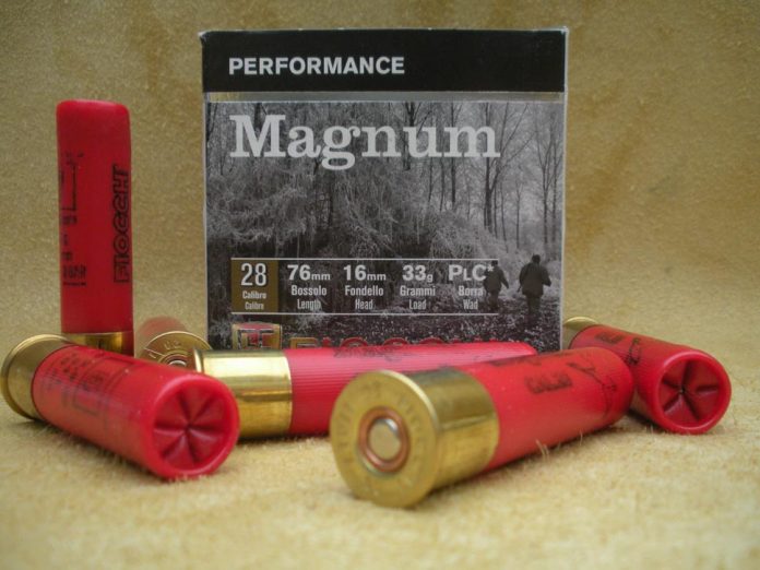 fiocchi_magnum_calibro_28_8425