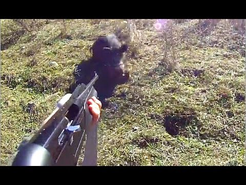 Caccia al cinghiale.. l’emozione del tiro