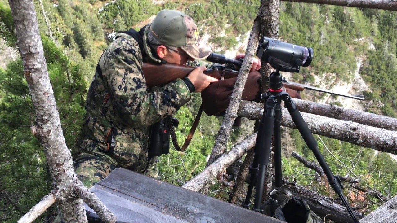 Caccia al camoscio in Tirolo