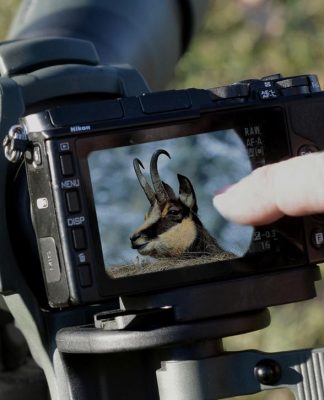Digiscoping e selecontrollori