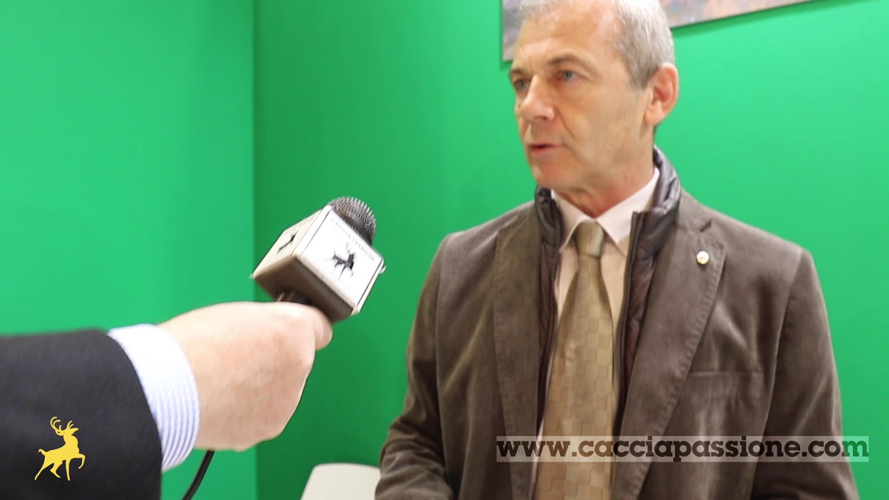 Sabatti TLD – HIT Show 2018