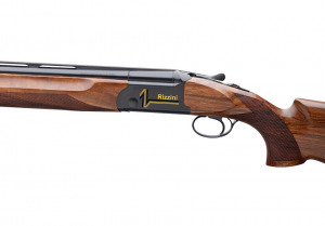 Rizzini