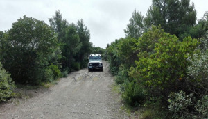 Parco Provinciale delle Colline Livornesi