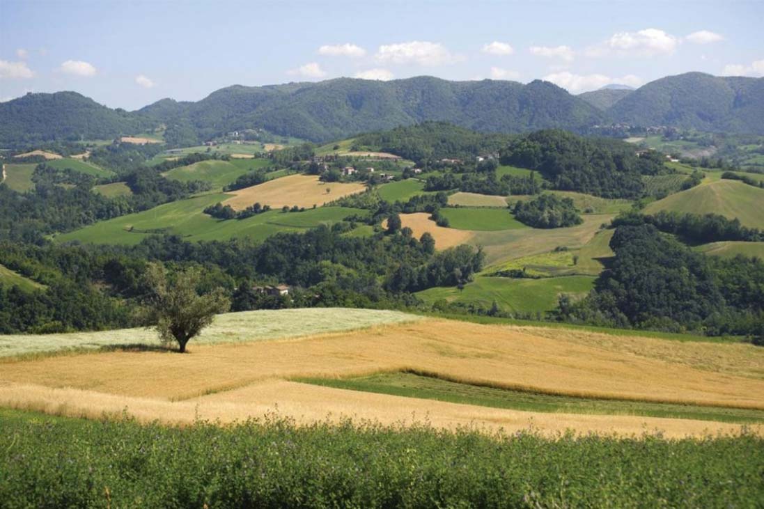 riserva riserva