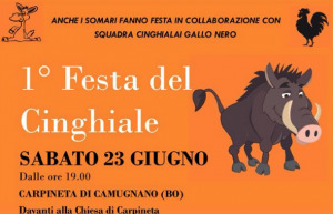 Festa del Cinghiale