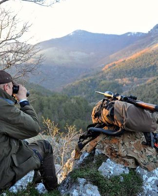 Caccia al cinghiale. “Le stelle del Pollino..”