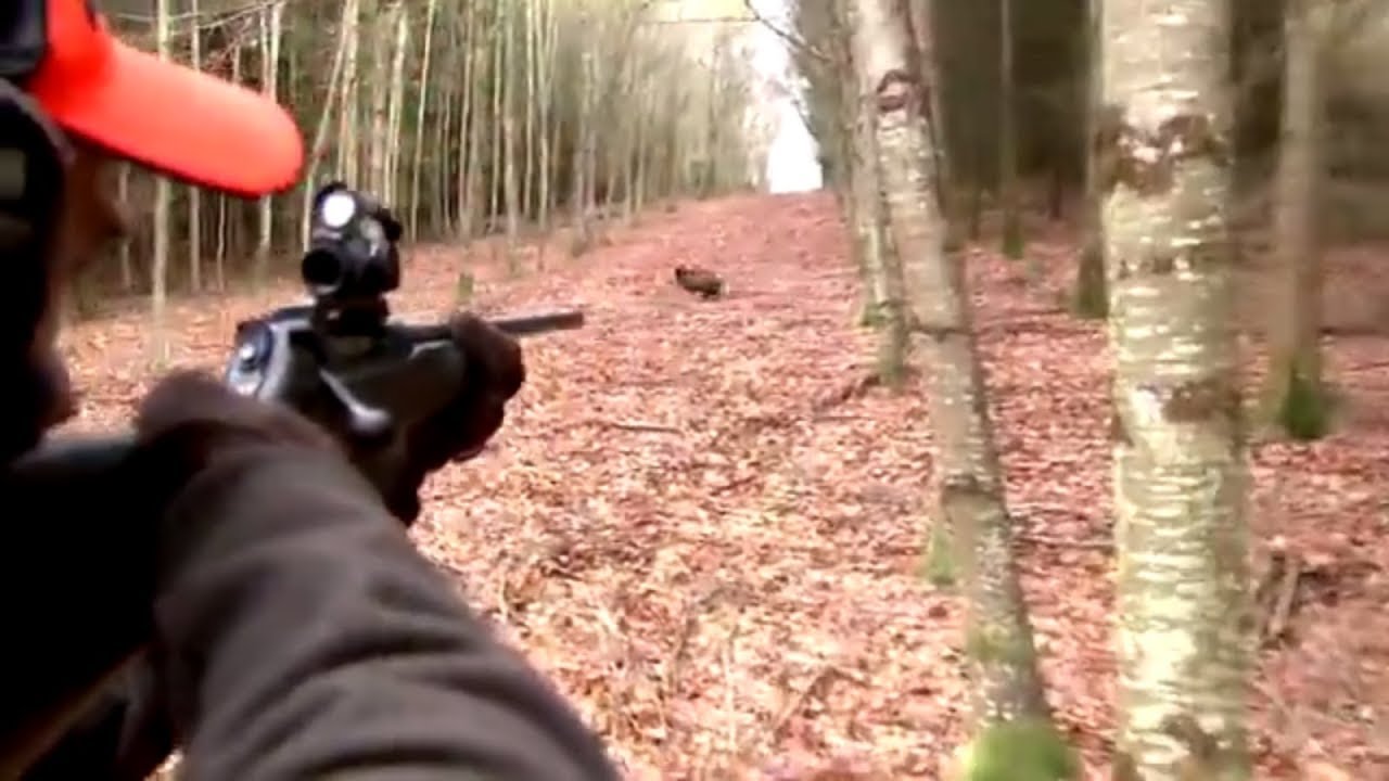 Top video di caccia al cinghiale