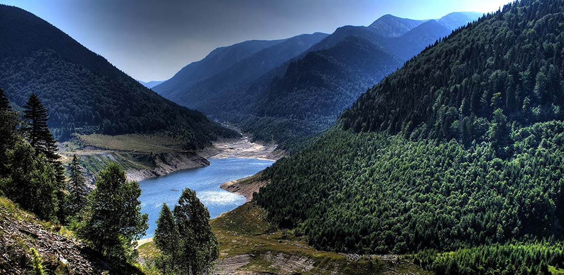 Alla Scoperta Della Natura Incontaminata Della Romania Con Montefeltro Caccia Passione