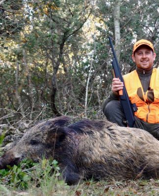 Caccia al cinghiale. “Un portafortuna a pois” Caccia al cinghiale