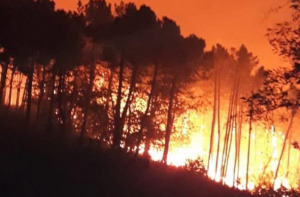 Incendio sui monti di Pisa