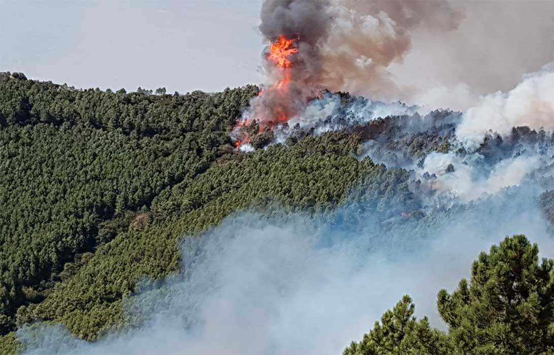 Incendio Monte Serra - Pisa Incendio Monte Serra - Pisa