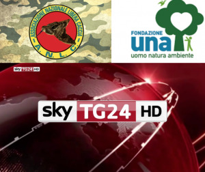 Sky TG24