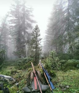 caccia in zona alpi