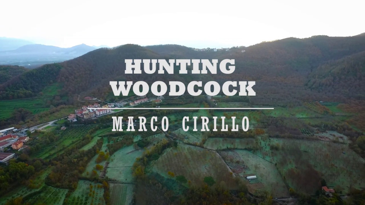 Caccia alla beccaccia – Hunting woodcock