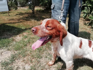 Trofeo Tenuta Bonicelli