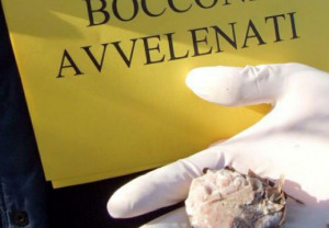 Bocconi avvelenati