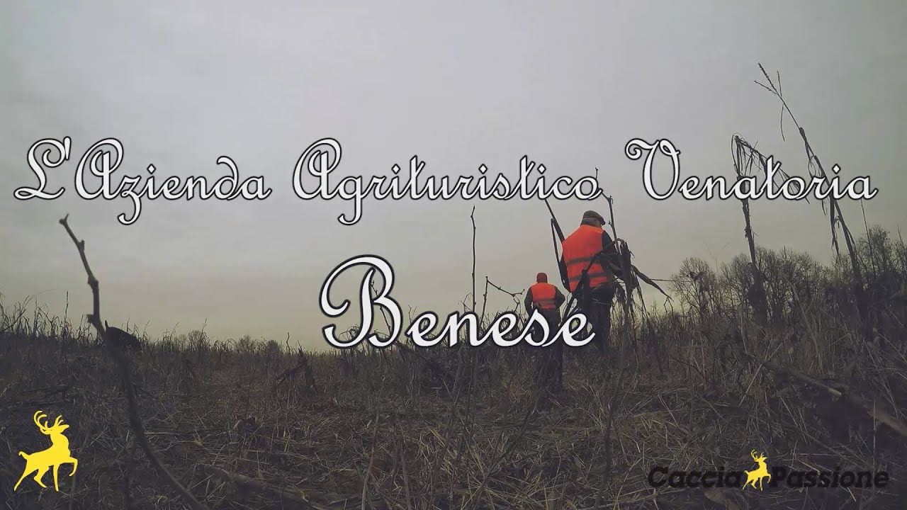 L’Azienda agrituristico venatoria Benese