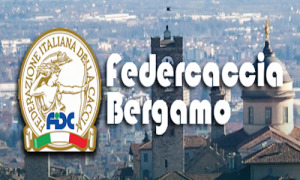 Bergamo