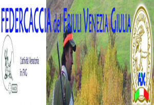 FIDC Friuli Venezia Giulia