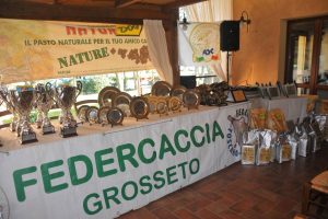 FIDC Grosseto