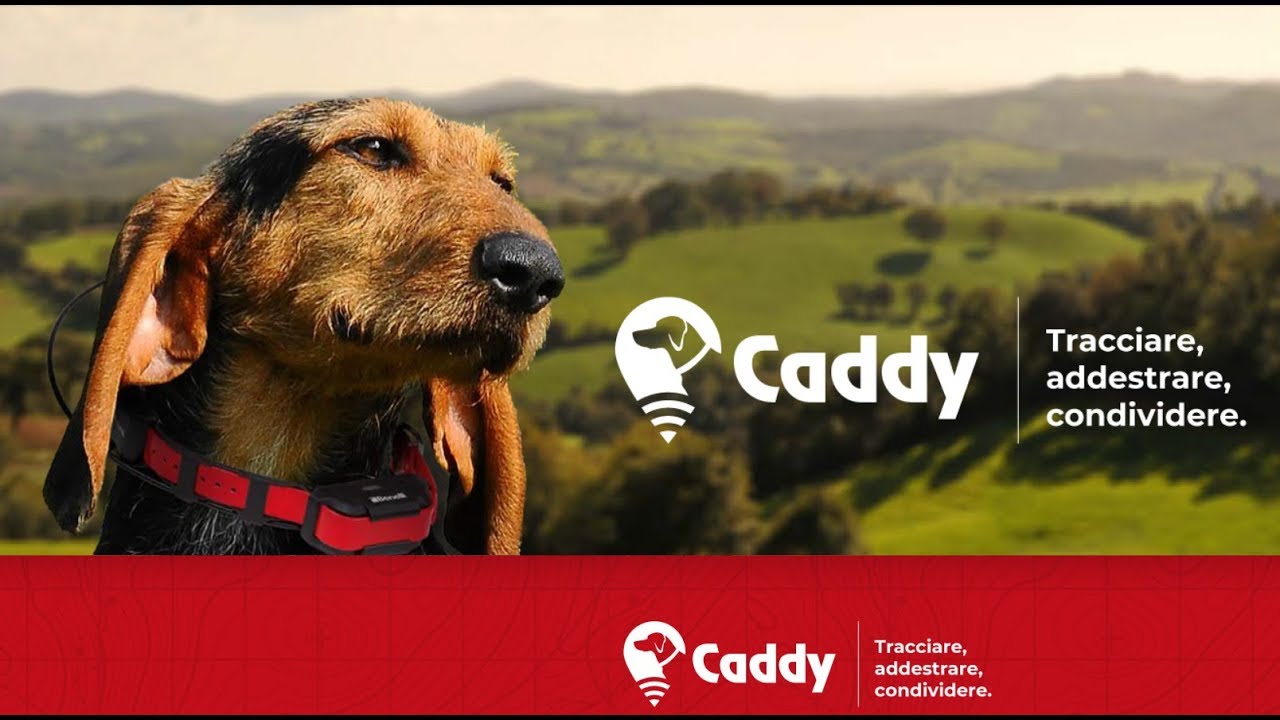 Benelli Caddy – HIT Show 2019