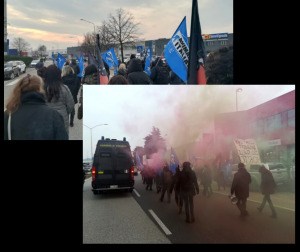 Manifestazioni animaliste