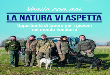 mav per caccia scaricare
