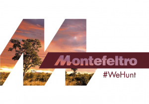 Montefeltro