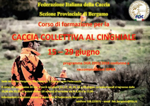 Caccia collettiva al cinghiale