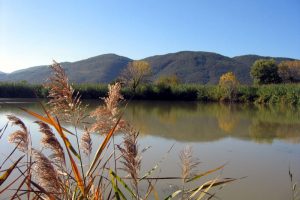 Parco di Montemarcello