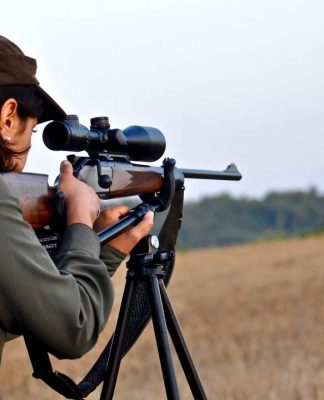 Caccia al capriolo. “Il Rosso di fine estate..”