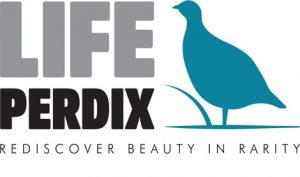 Life Perdix