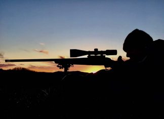 Il capriolo di Simona