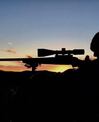 Il capriolo di Simona